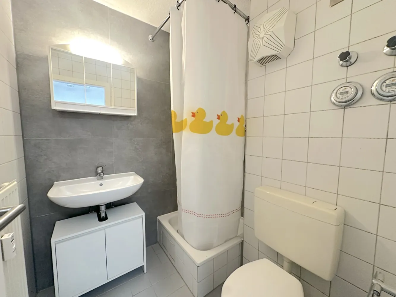 1 Zimmer Wohnung mit 20 m² in Mannheim – Bild 9