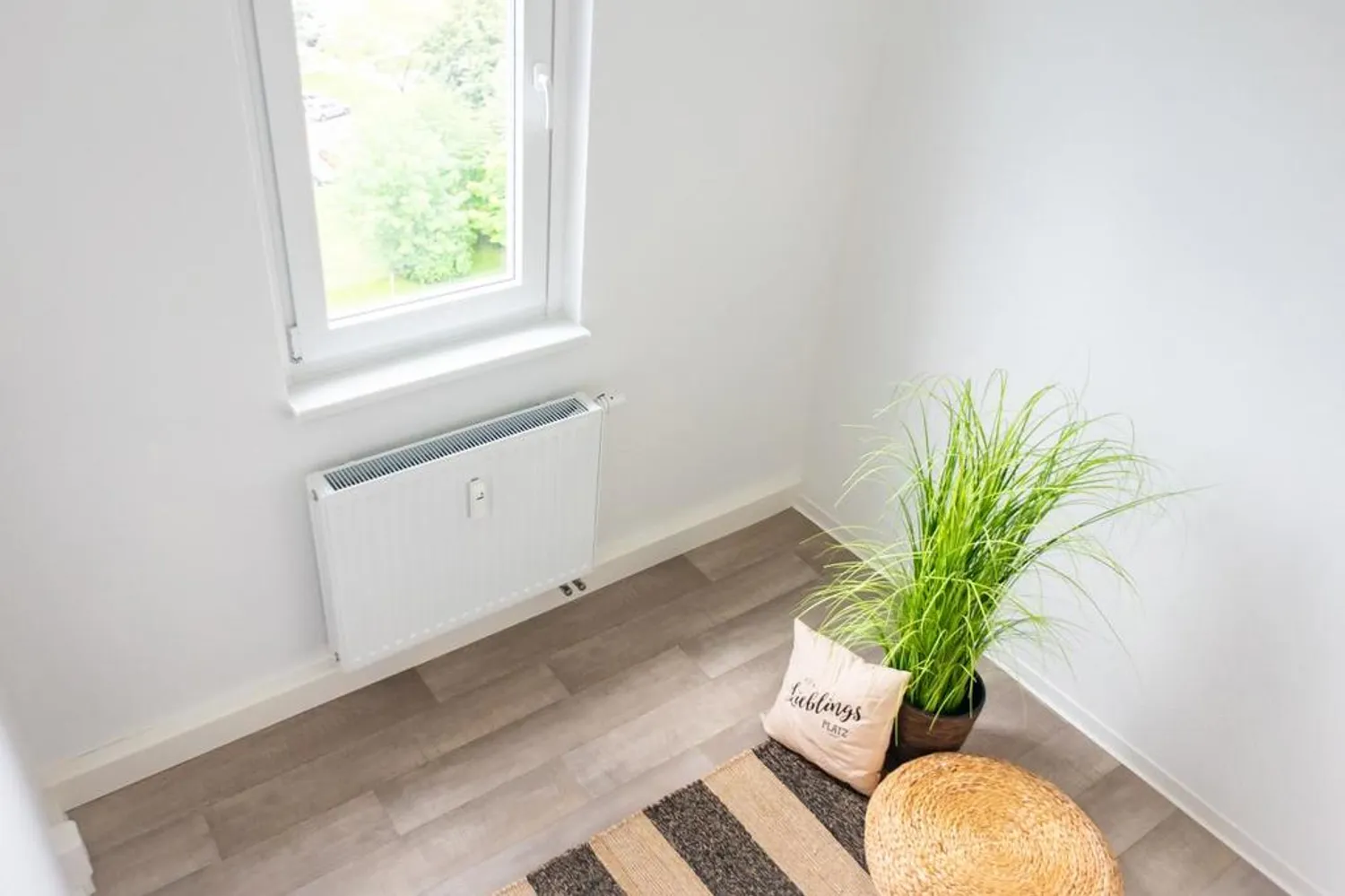 2 room apartment with 36 m² in Chemnitz – Photo 3