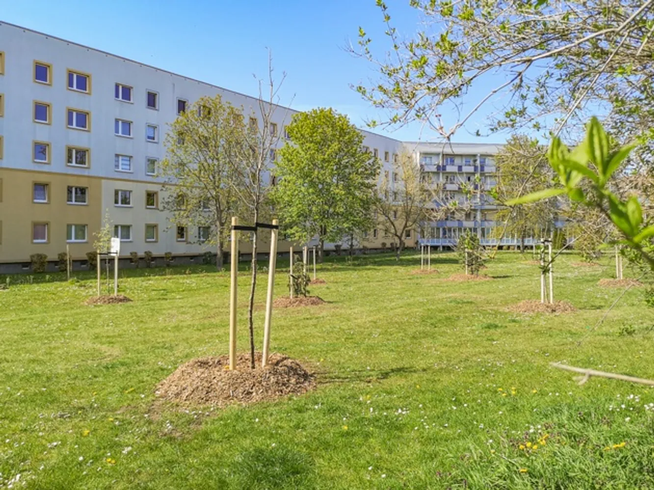 4 room apartment with 65 m² in Magdeburg – Photo 1