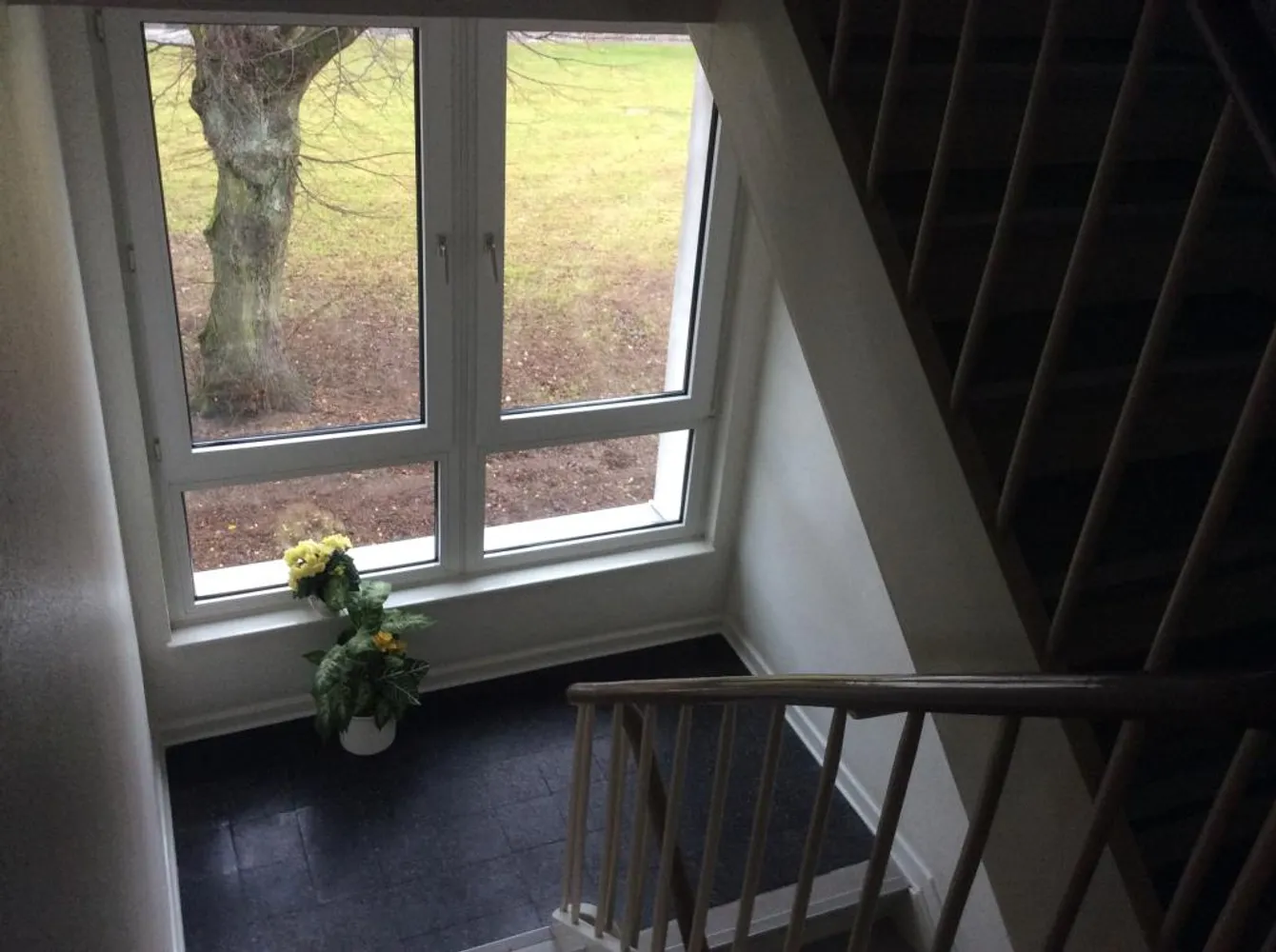 3 Zimmer Wohnung mit 50 m² in Bottrop – Bild 9