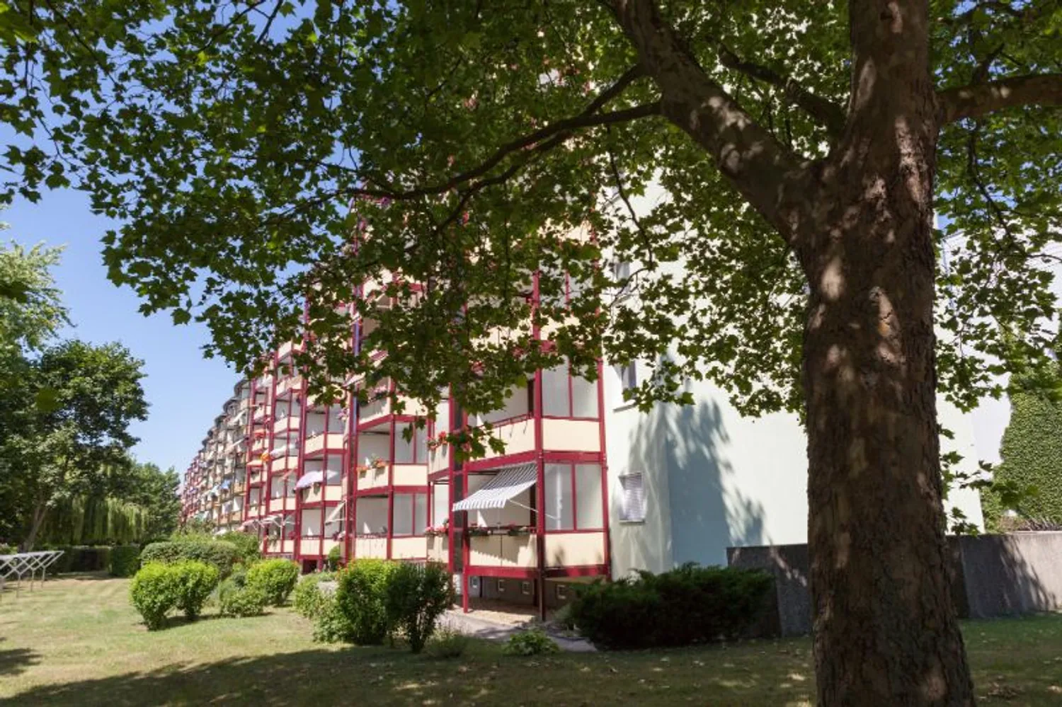 4 Zimmer Wohnung mit 67 m² in Magdeburg – Bild 3