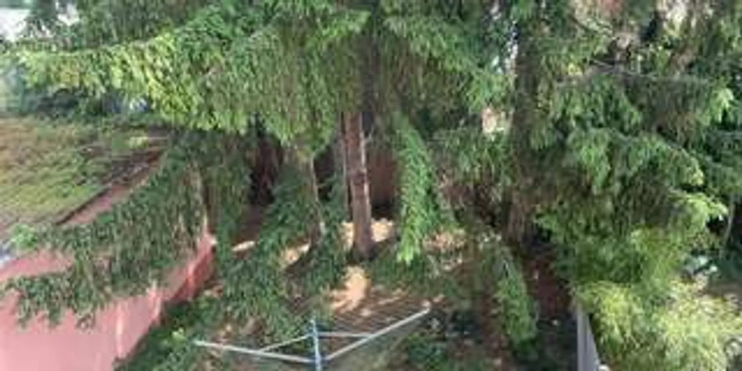 3 Zimmer Wohnung mit 75 m² in Ludwigshafen am Rhein – Bild 10