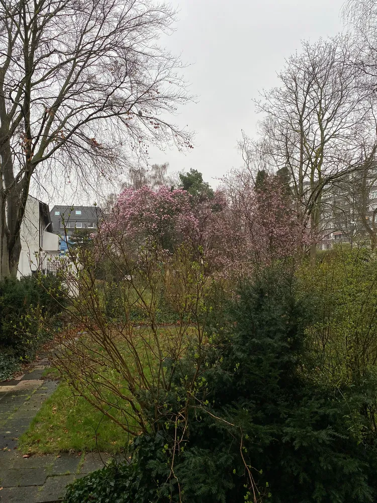 2 Zimmer Wohnung mit 60 m² in Köln – Bild 9