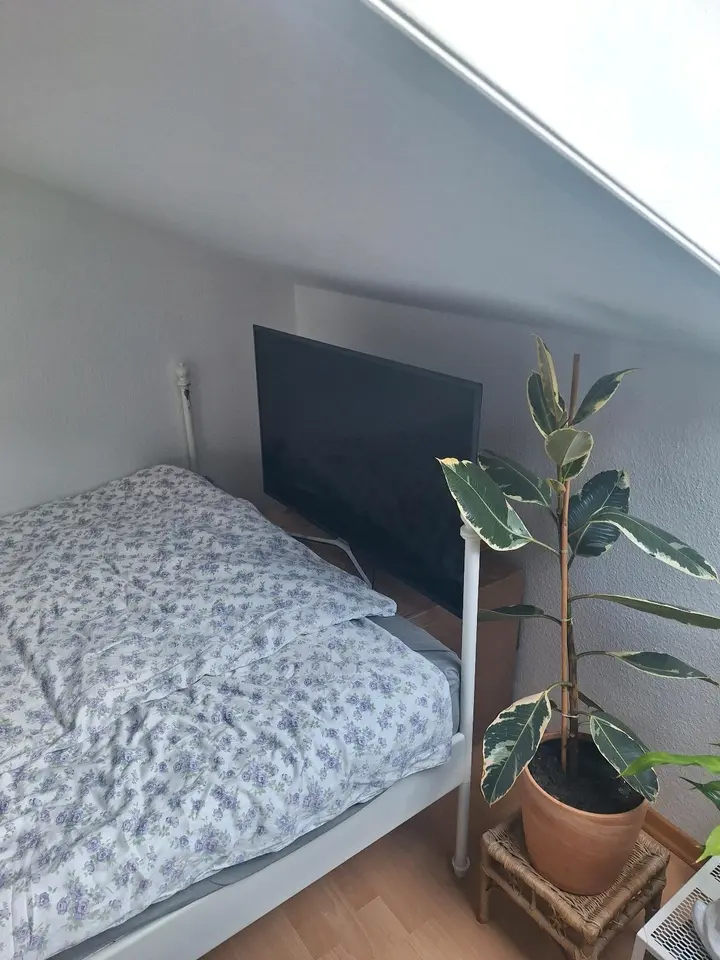 Studio mit 25 m² in Konstanz – Bild 5