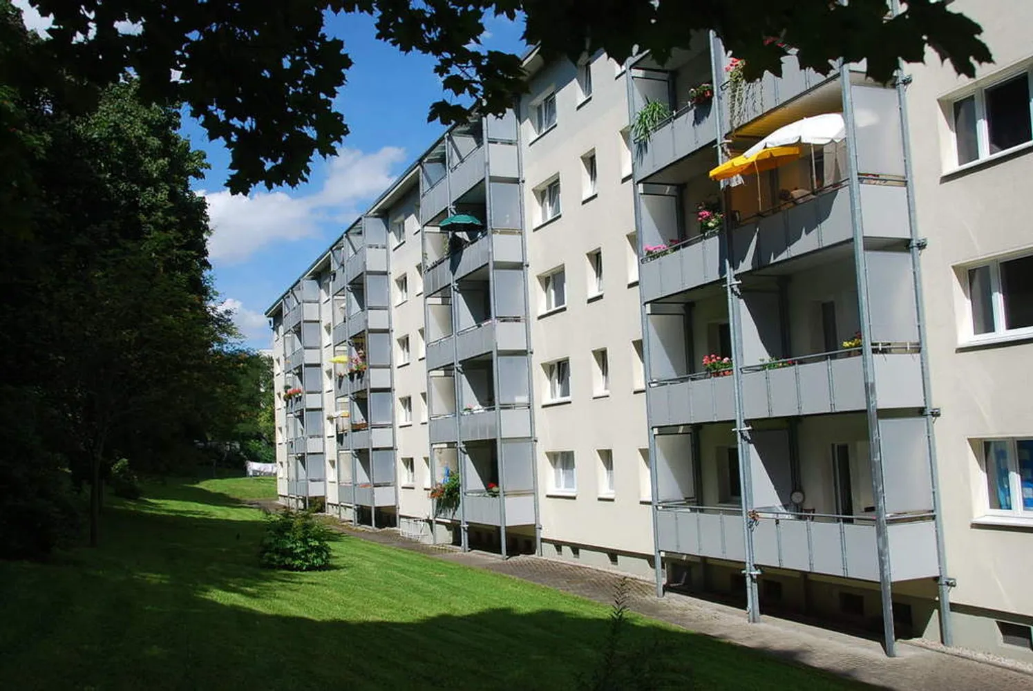 2 room apartment with 39 m² in Chemnitz – Photo 4