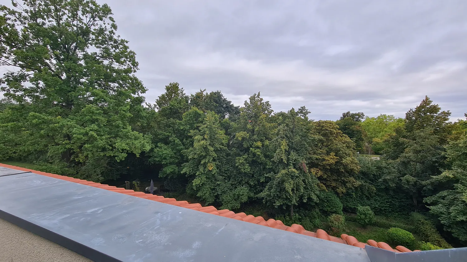 3 Zimmer Wohnung mit 90 m² in Halle (Saale) – Bild 2