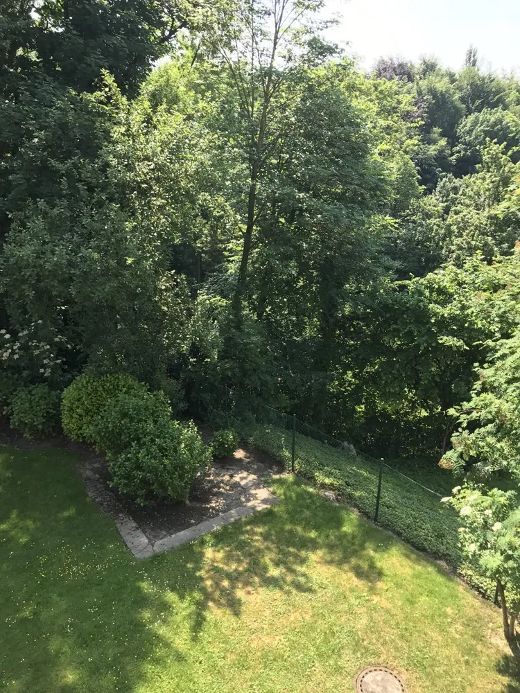 3 Zimmer Wohnung mit 60 m² in Mülheim an der Ruhr – Bild 9