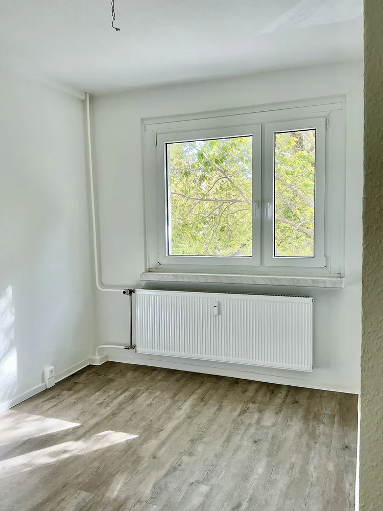 4 room apartment with 76 m² in Dresden – Photo 5