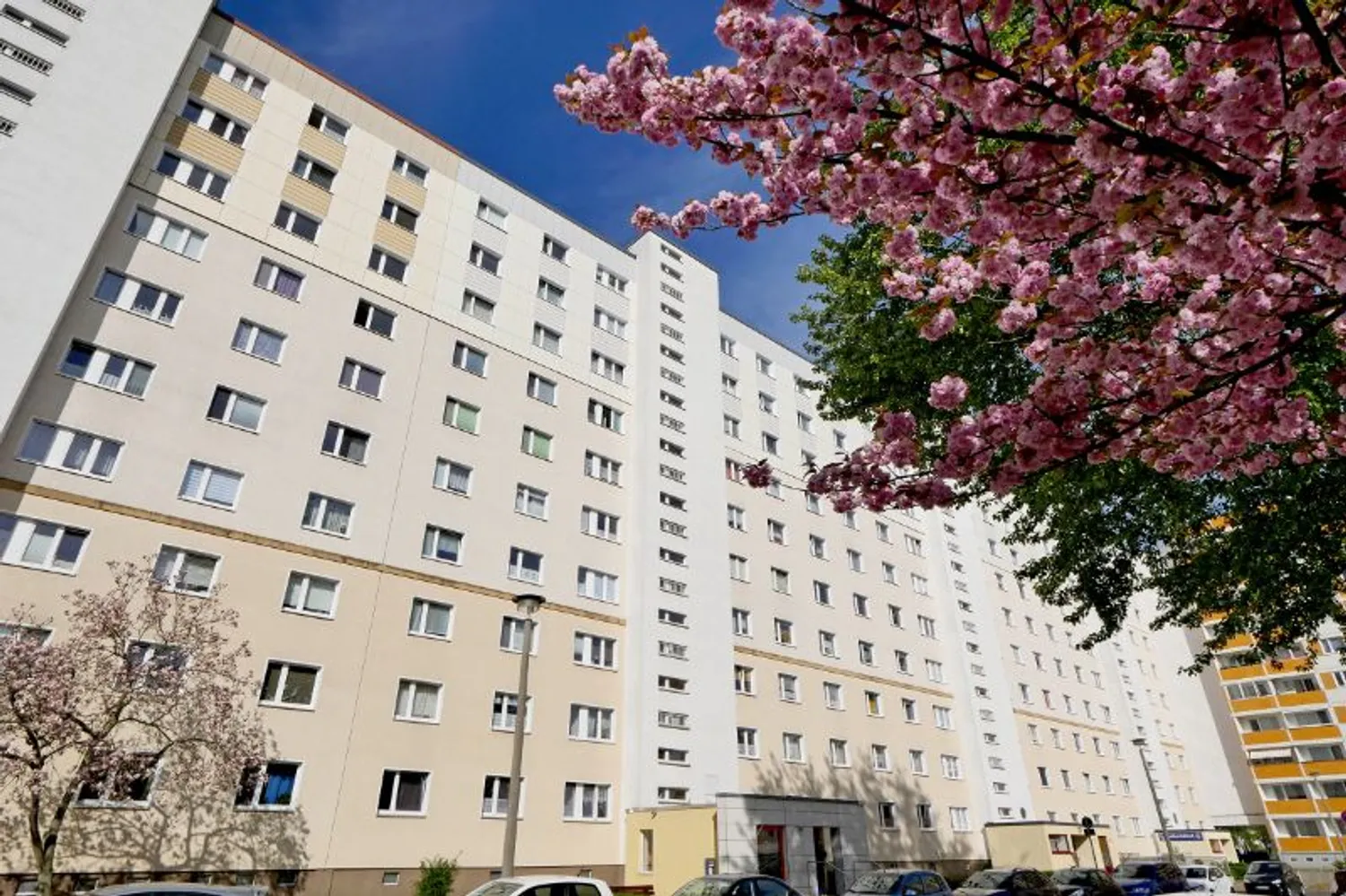 1 Zimmer Wohnung mit 34 m² in Magdeburg – Bild 1
