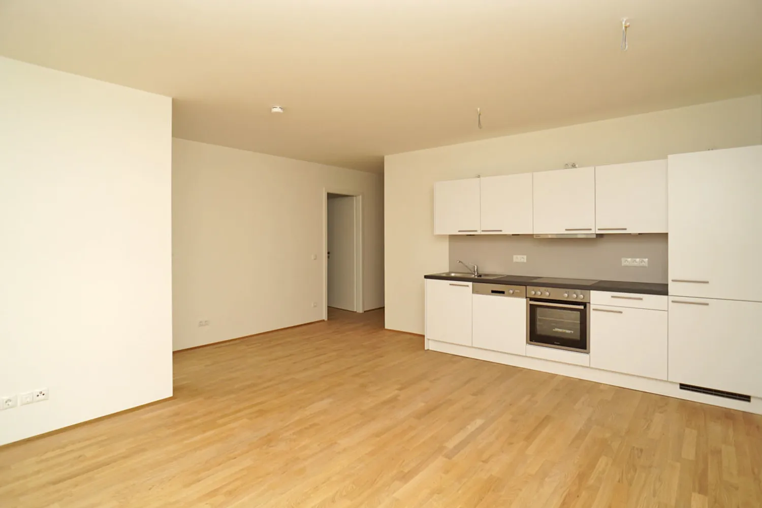 4 room apartment with 88 m² in Dresden – Photo 7