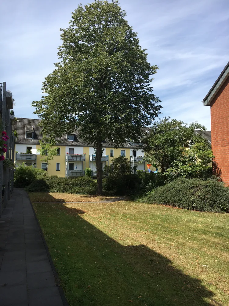 3 Zimmer Wohnung mit 39 m² in Duisburg – Bild 2