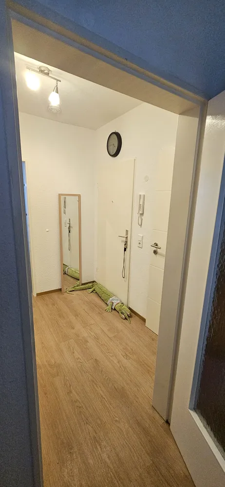 3 room apartment with 73 m² in Mainz – Photo 2