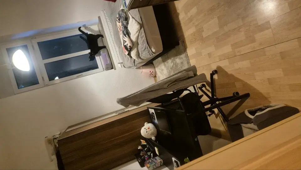 2 Zimmer Wohnung mit 55 m² in Halle (Saale) – Bild 3