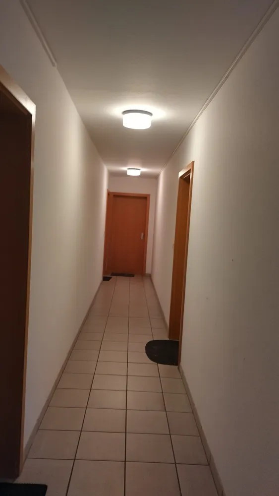 1 room apartment with 31 m² in Magdeburg – Photo 3