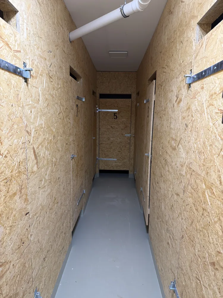 3 Zimmer Wohnung mit 71 m² in Werder (Havel) – Bild 4