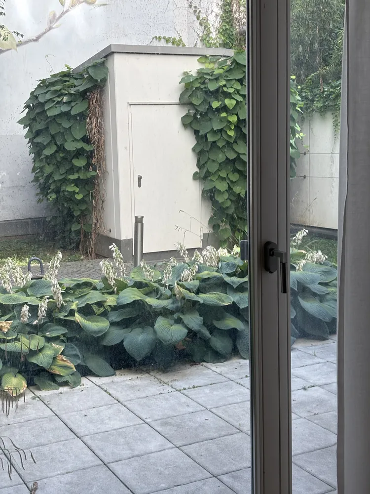 4 Zimmer Wohnung mit 140 m² in München – Bild 11