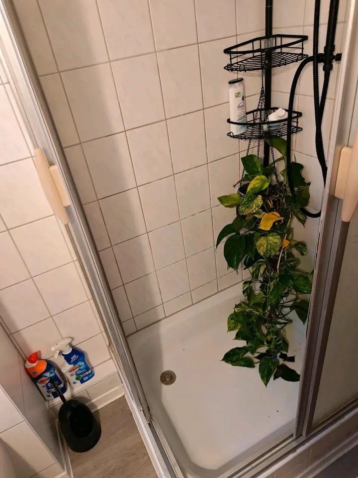 4 Zimmer Wohnung mit 73 m² in Hof – Bild 5