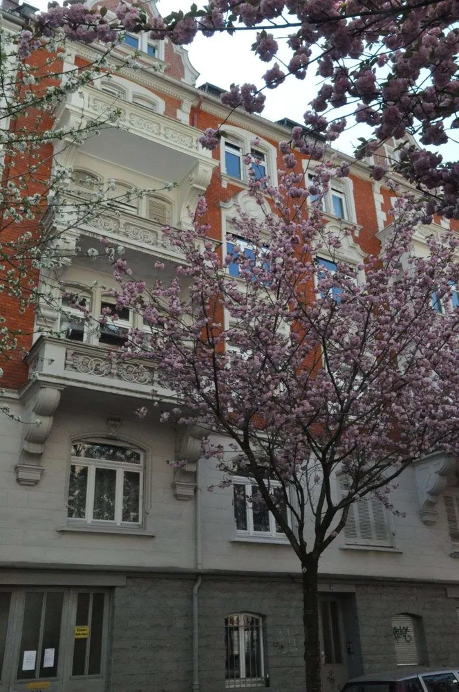 6 room apartment with 142 m² in Wiesbaden – Photo 2