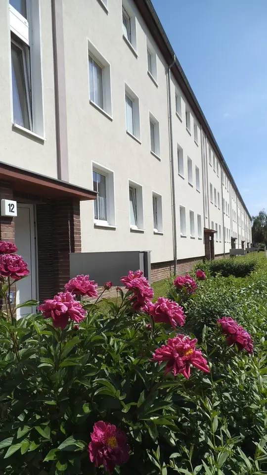 2 room apartment with 62 m² in Magdeburg – Photo 3