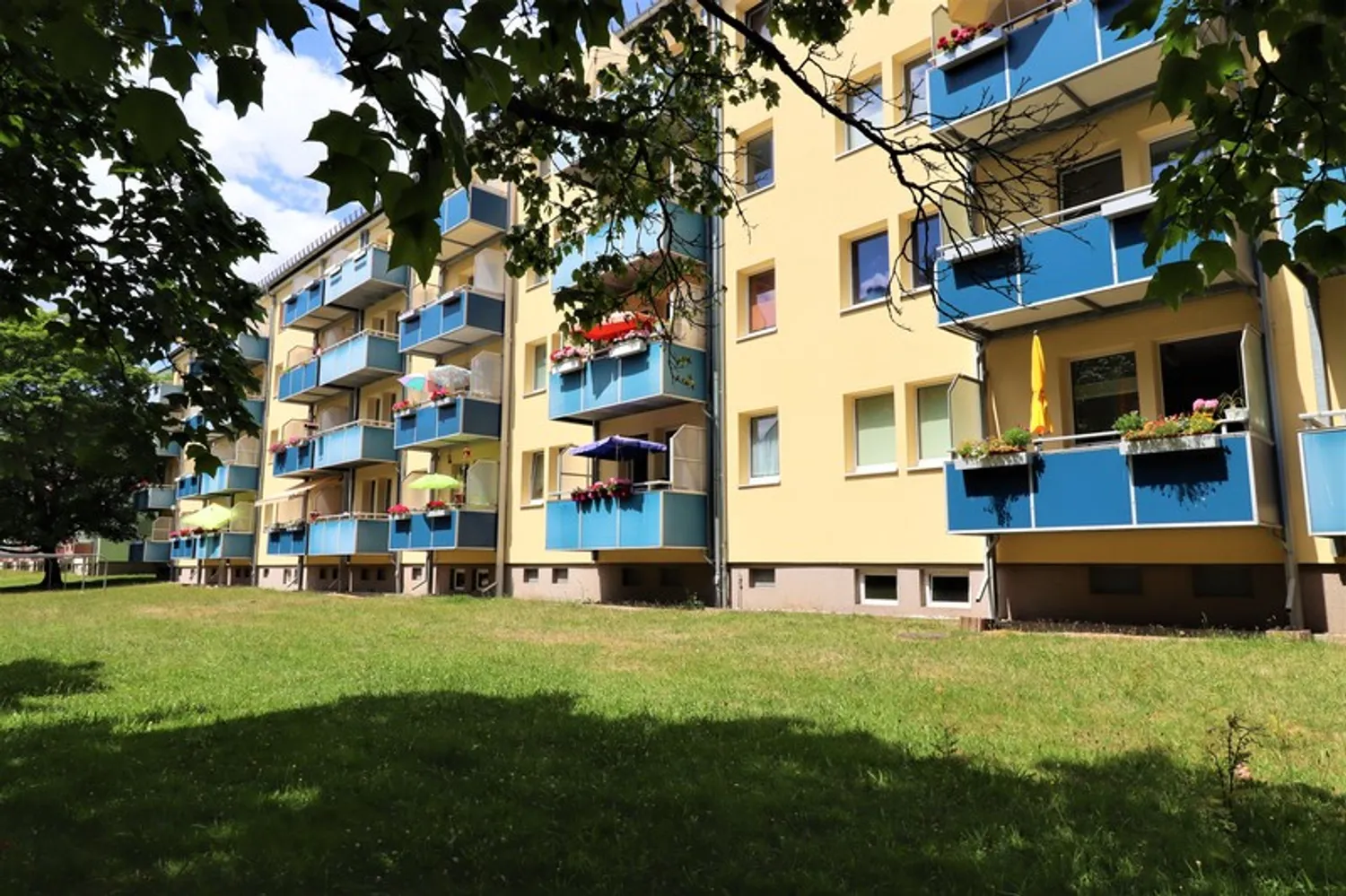 2 room apartment with 48 m² in Chemnitz – Photo 2