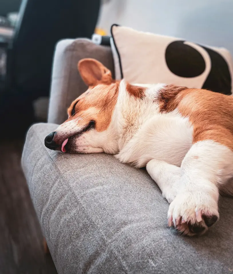5 Zimmer Haus mit 160 m² in Paderborn – Bild 6