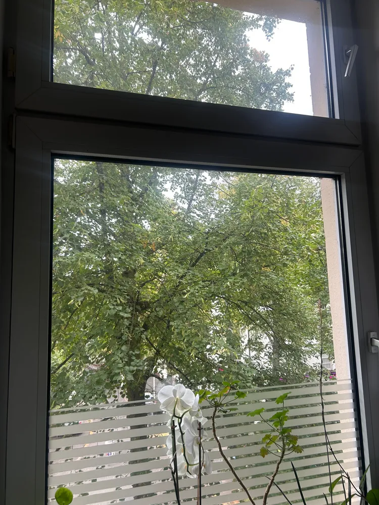1 Zimmer Wohnung mit 40 m² in Bonn – Bild 3