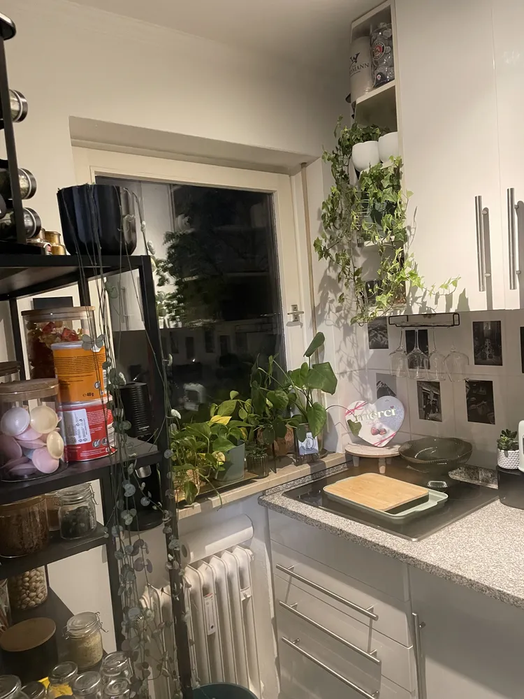 1 Zimmer Wohnung mit 29 m² in München – Bild 4