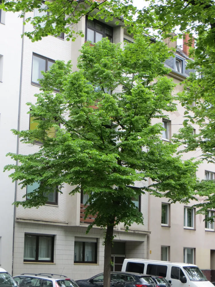1 Zimmer Wohnung mit 30 m² in Düsseldorf – Bild 1