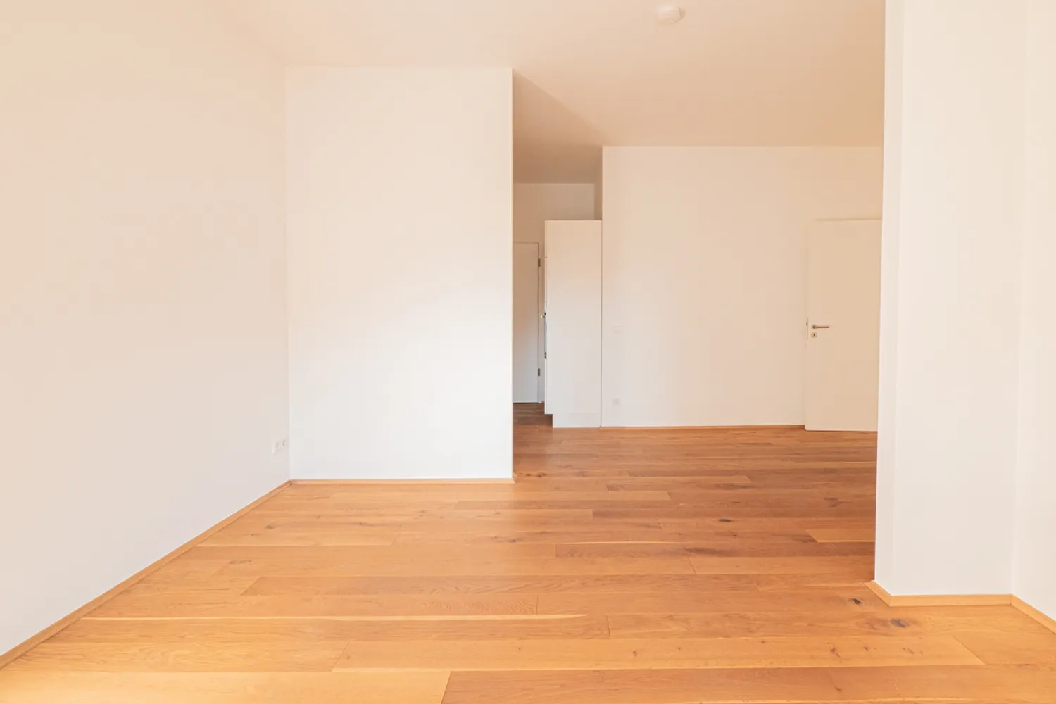3 room apartment with 78 m² in Dresden – Photo 10