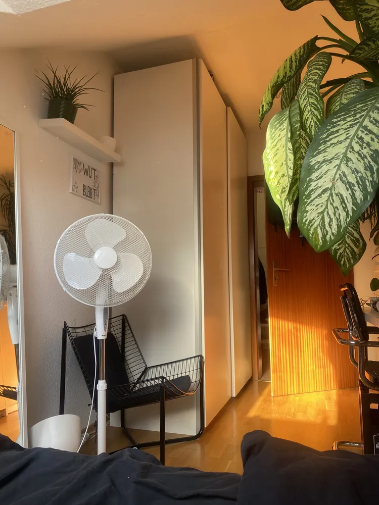 4 Zimmer Wohnung mit 115 m² in Hannover – Bild 3