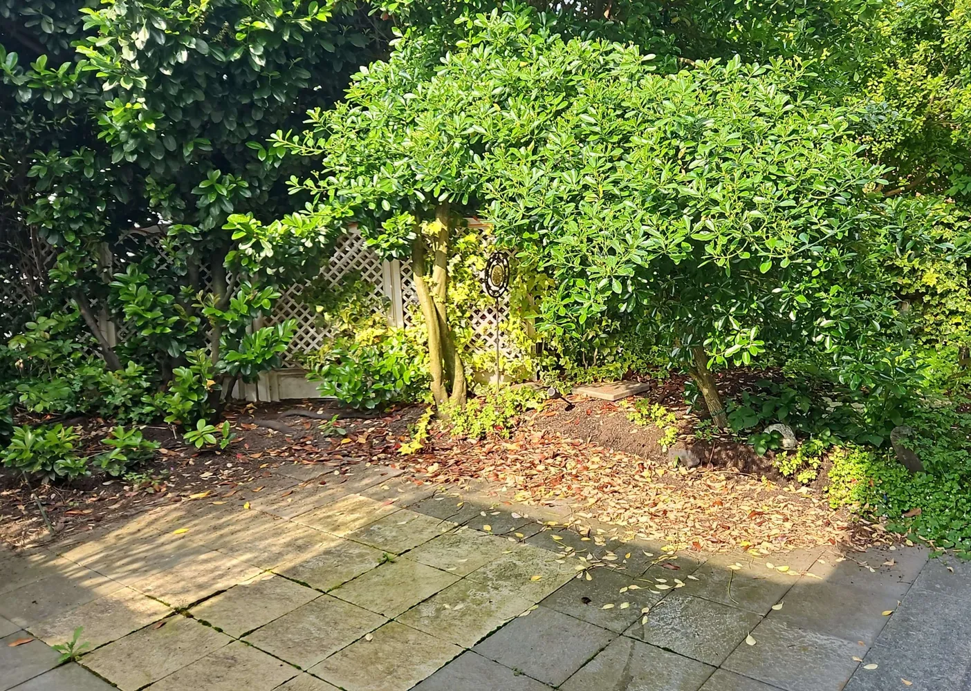 3 room apartment with 79 m² in Düsseldorf – Photo 2