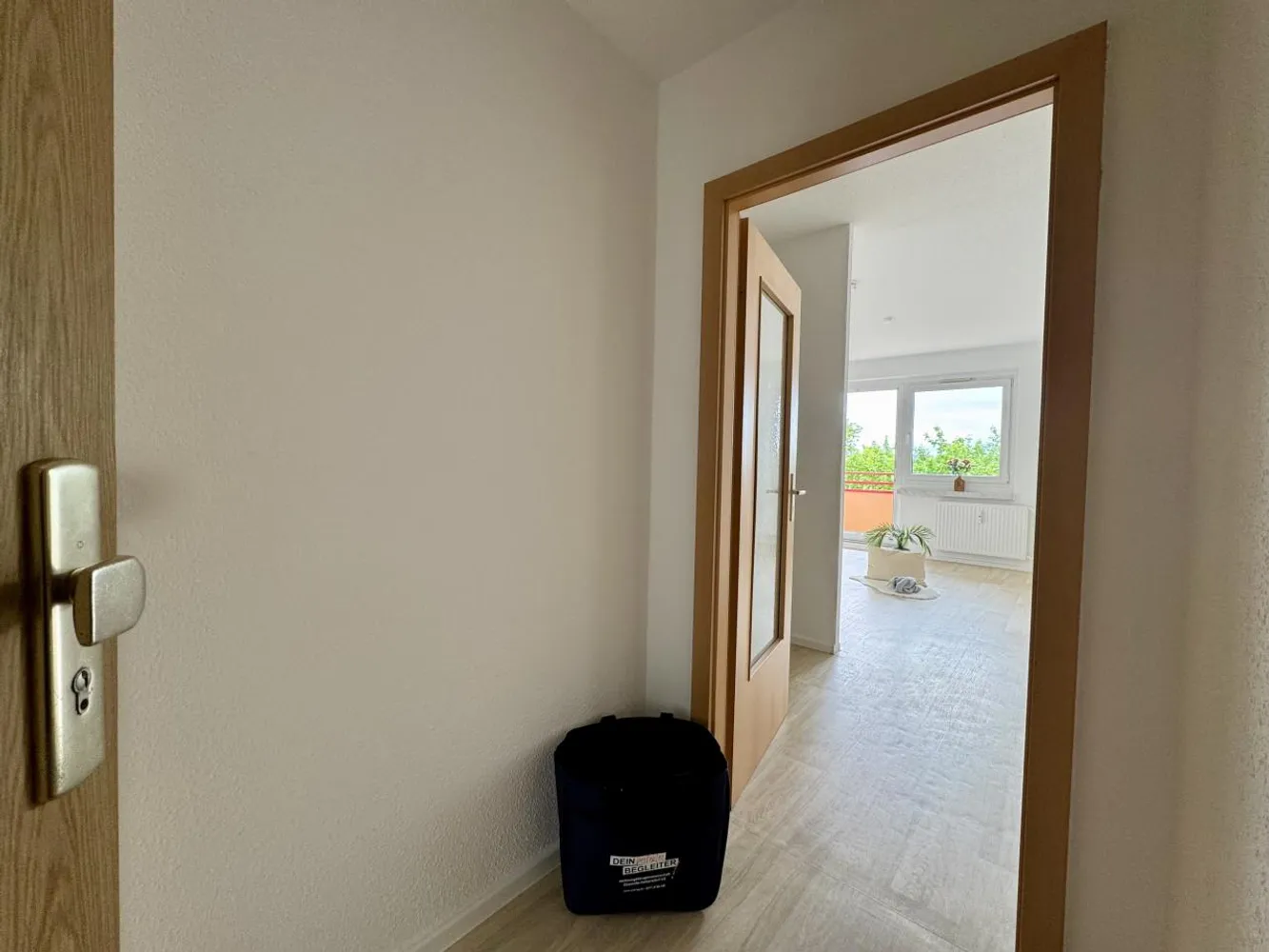 3 Zimmer Wohnung mit 56 m² in Chemnitz – Bild 4