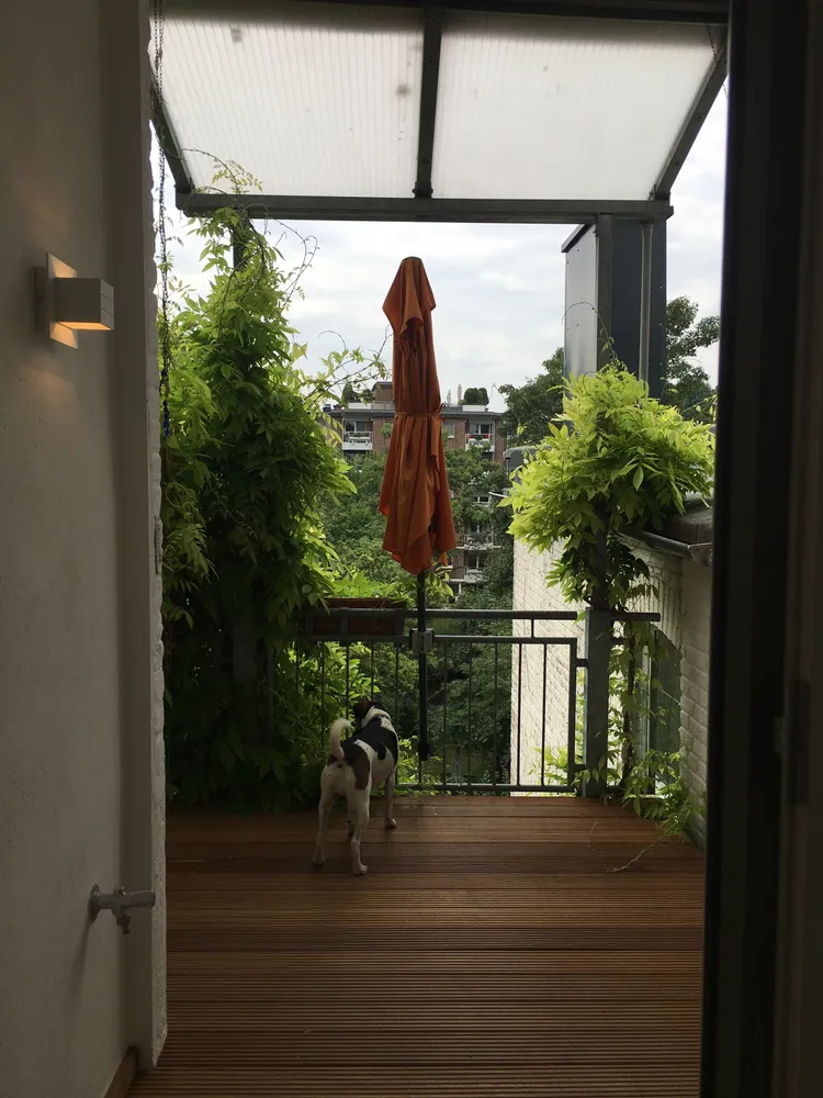 6 Zimmer Wohnung mit 190 m² in Düsseldorf – Bild 8
