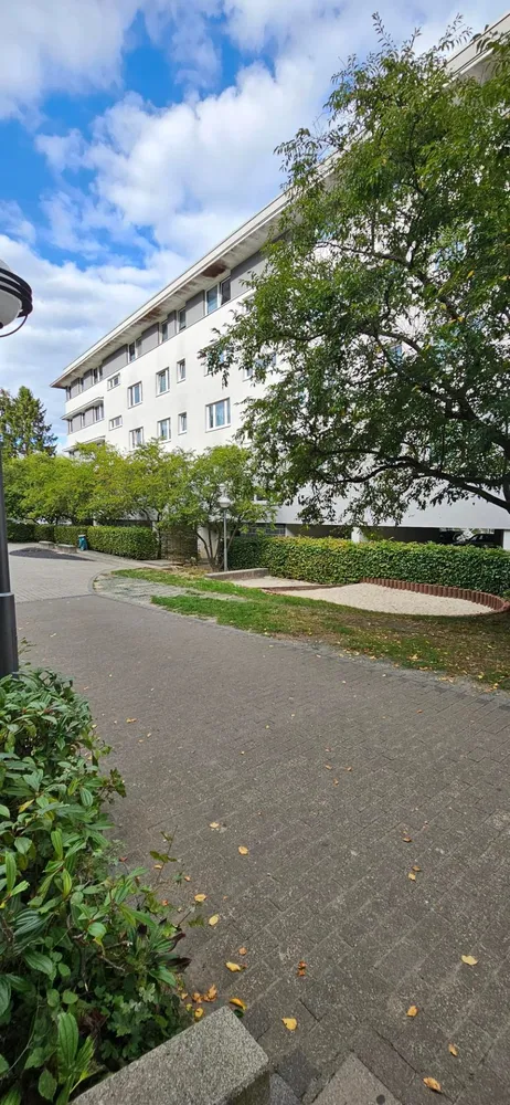 2 room apartment with 66 m² in Wiesbaden – Photo 11