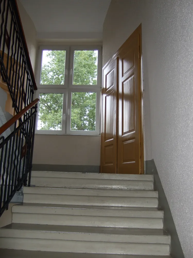 2 room apartment with 60 m² in Chemnitz – Photo 4