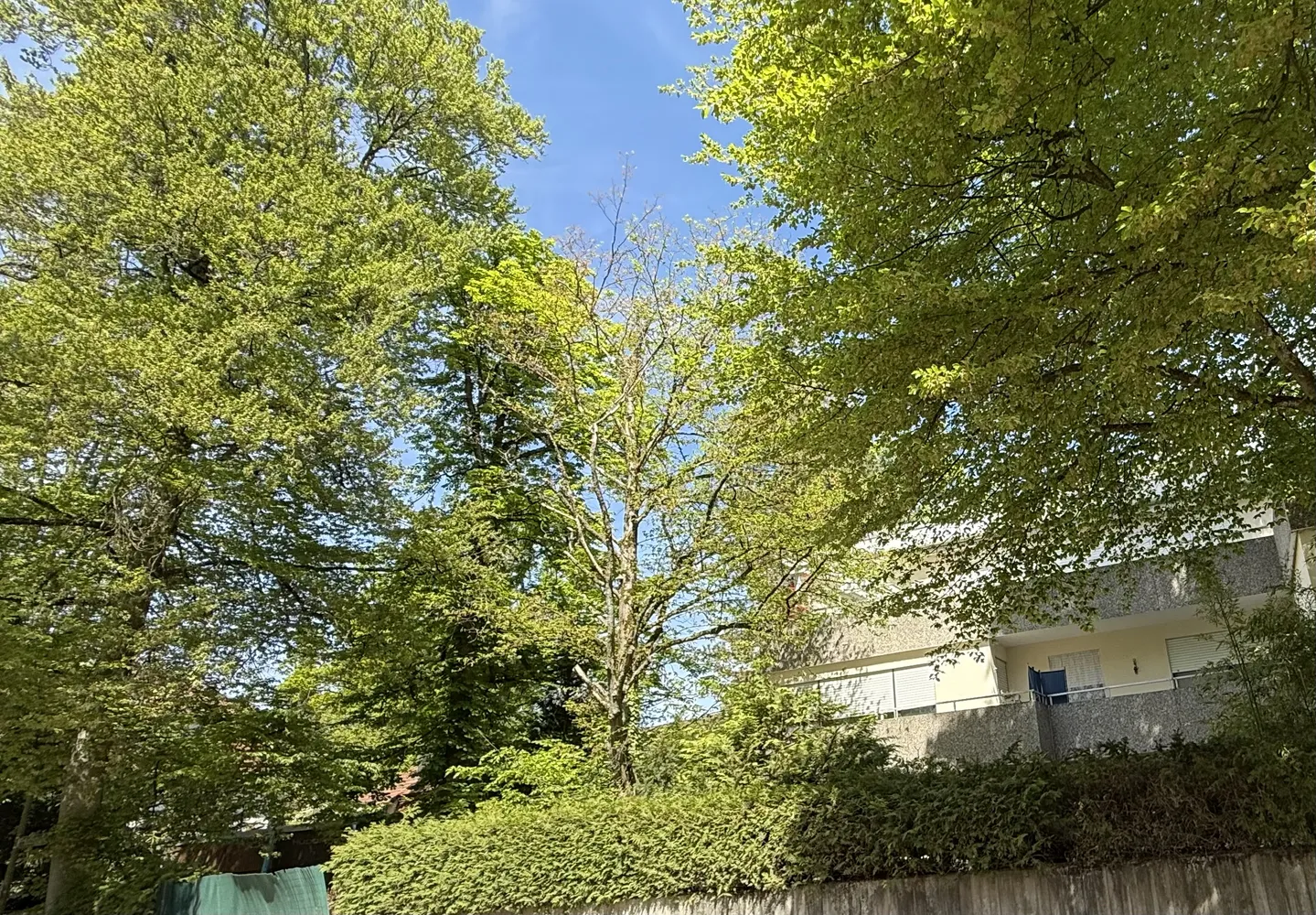5 Zimmer Wohnung mit 103 m² in München – Bild 3