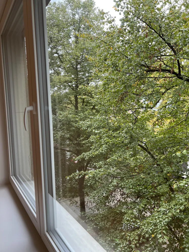 2 room apartment with 72 m² in Düsseldorf – Photo 3