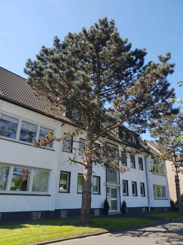 3 Zimmer Wohnung mit 61 m² in Essen – Bild 1
