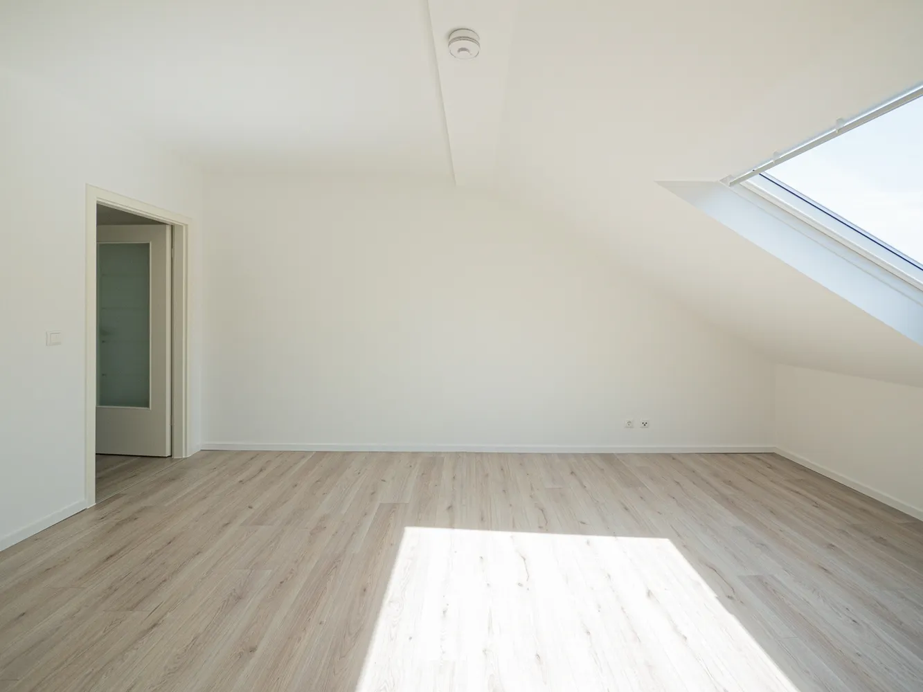 2 Zimmer Wohnung mit 51 m² in Dresden – Bild 7