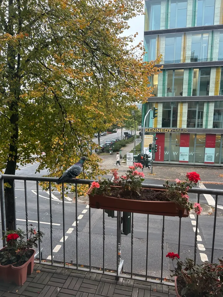 2 Zimmer Wohnung mit 75 m² in Düsseldorf – Bild 3
