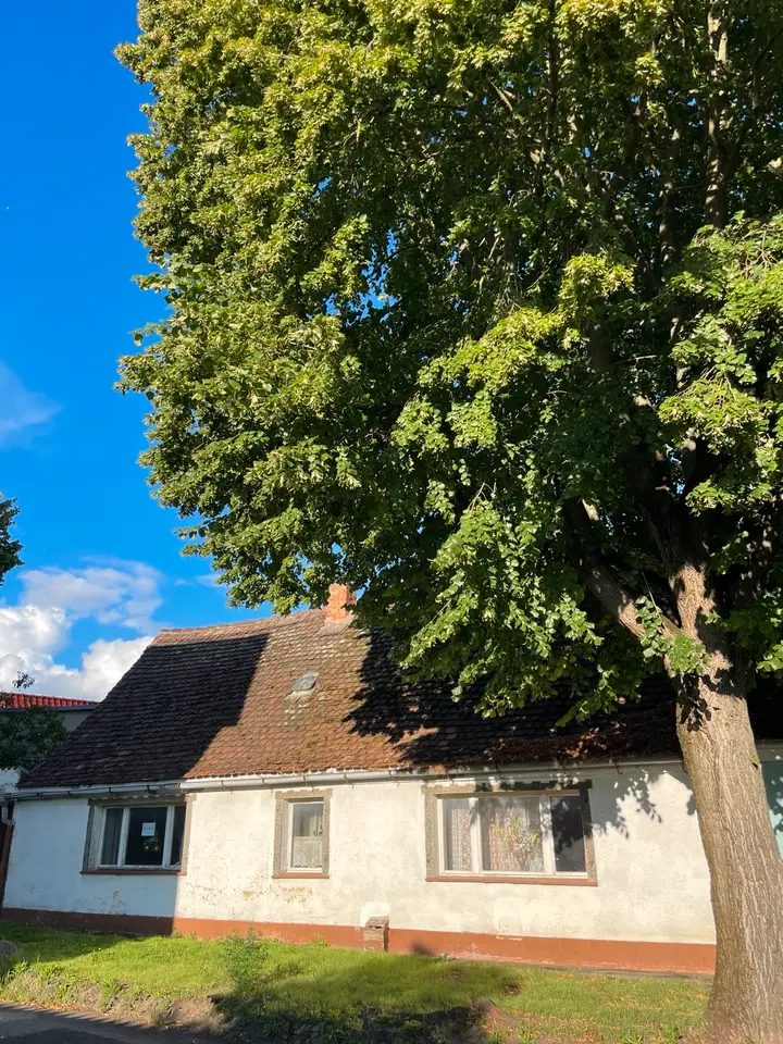 10 Zimmer Haus mit 200 m² in Magdeburg – Bild 7