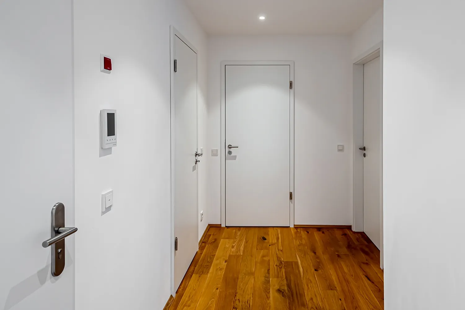2 room apartment with 58 m² in Dresden – Photo 6