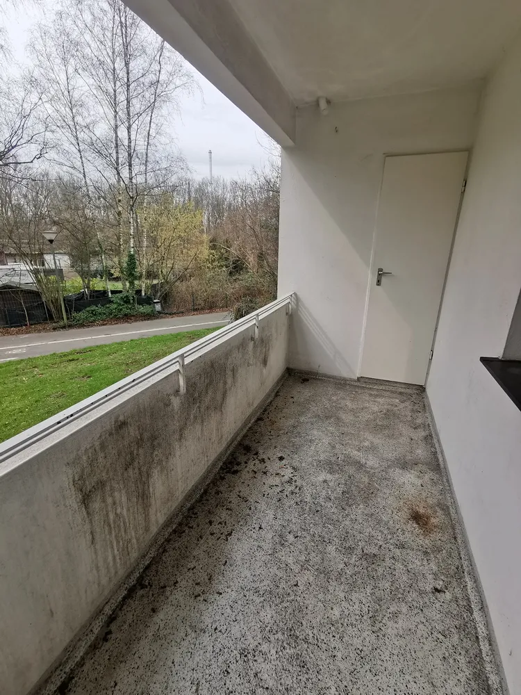 4 Zimmer Wohnung mit 67 m² in Gelsenkirchen – Bild 8
