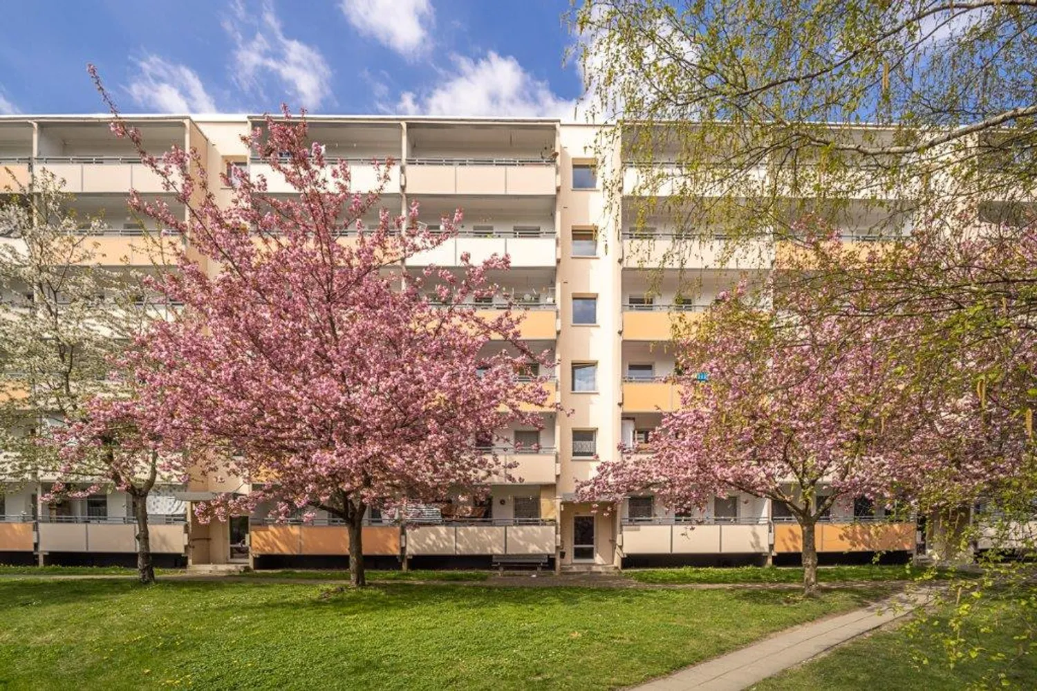 3 Zimmer Wohnung mit 64 m² in Dresden – Bild 1