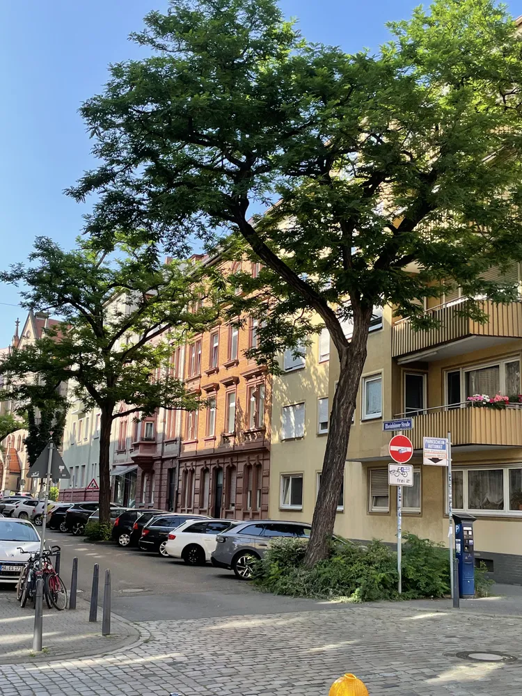 3 Zimmer Wohnung mit 73 m² in Mannheim – Bild 1