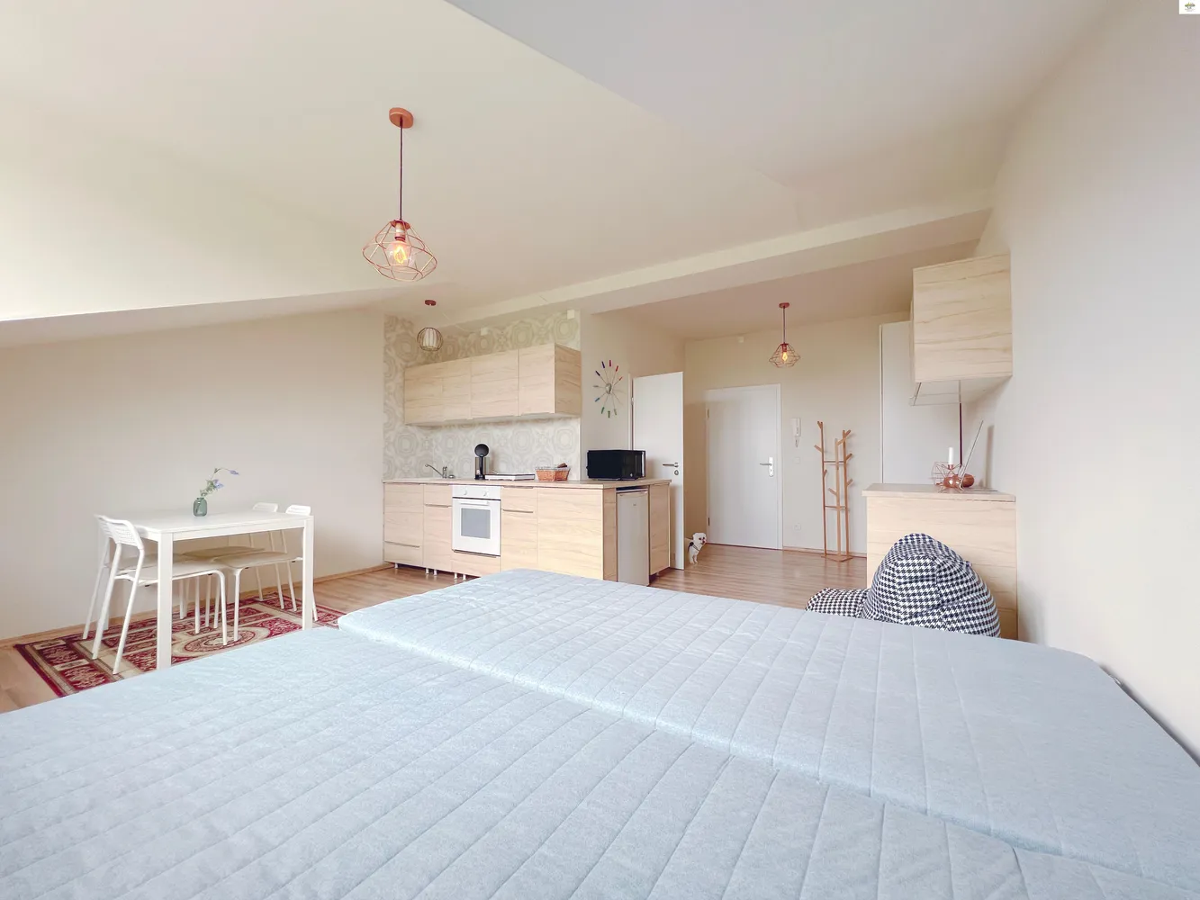 1 Zimmer Wohnung mit 33 m² in Dresden – Bild 3