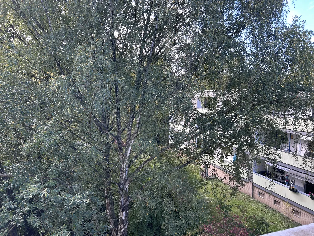 4 Zimmer Wohnung mit 72 m² in Bochum – Bild 7