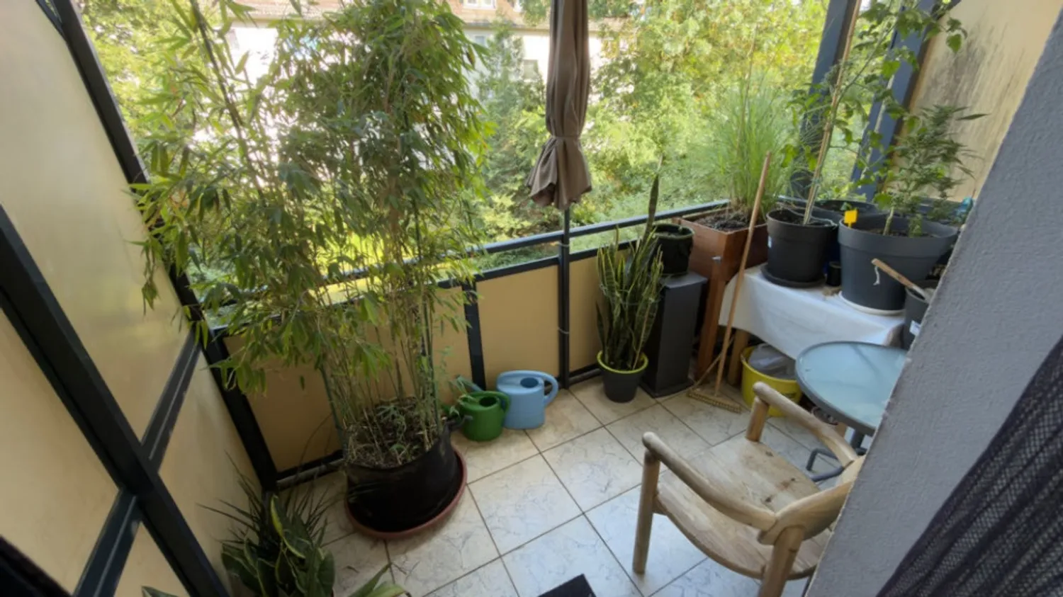 1 Zimmer Wohnung mit 41 m² in Gießen – Bild 1