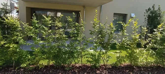 2 Zimmer Wohnung mit 69 m² in Passau – Bild 2