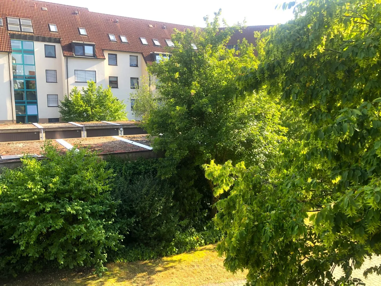 2 Zimmer Wohnung mit 63 m² in Leipzig – Bild 4